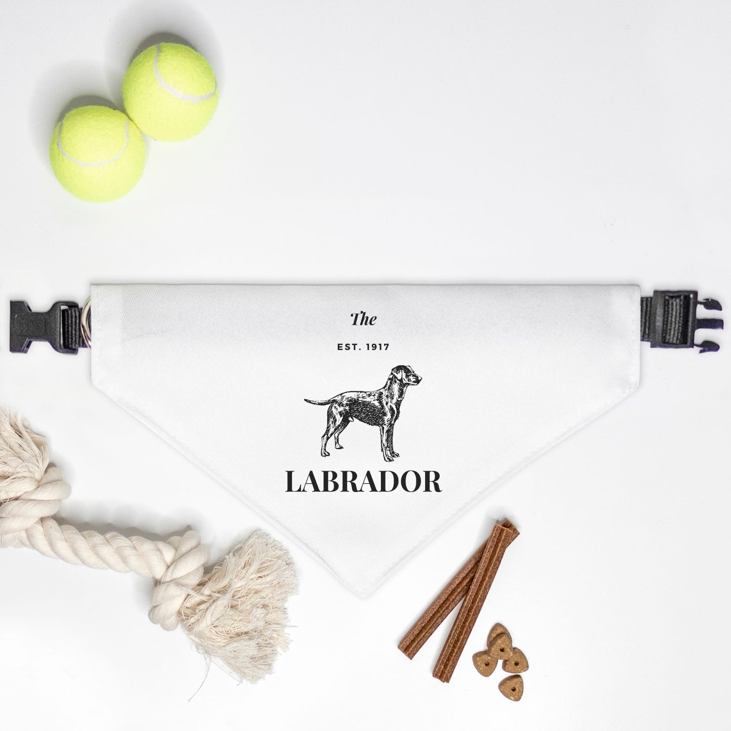 The 1917 Labrador Dog Bandana