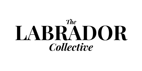 The Labrador Collective 